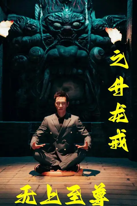 《无上至尊之升龙戒》封面