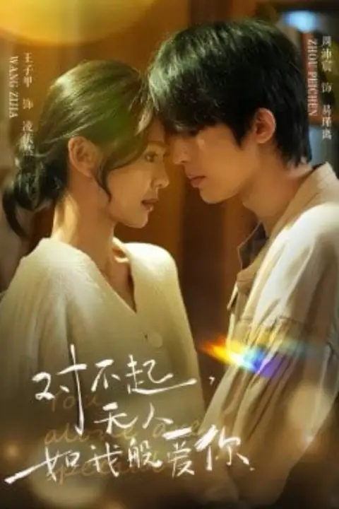 《对不起，无人如我般爱你》封面