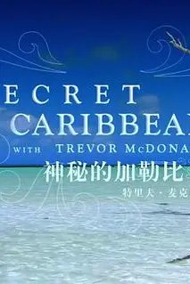 《神秘的加勒比》封面