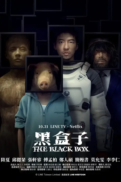 《黑盒子》封面