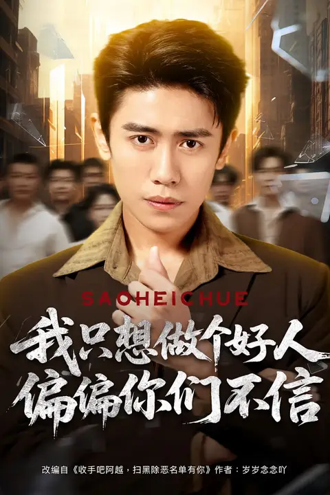 《我只想做个好人偏偏你们不信》封面