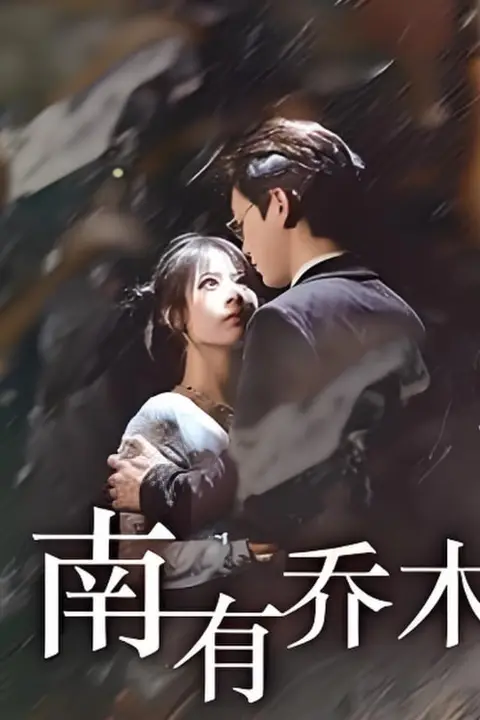 《南有乔木》封面