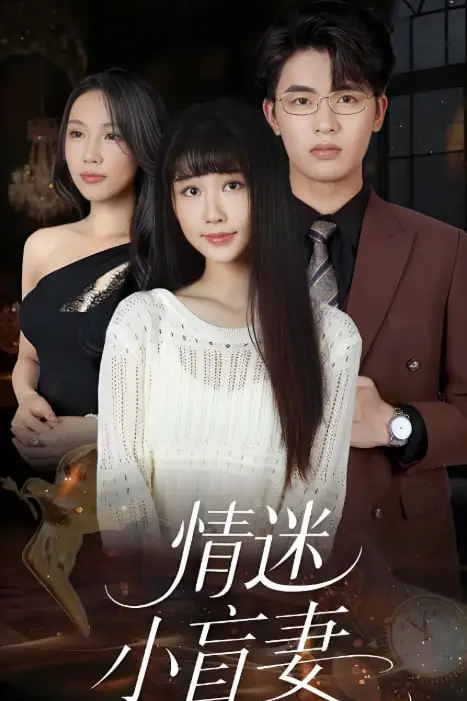《情迷小盲妻》封面