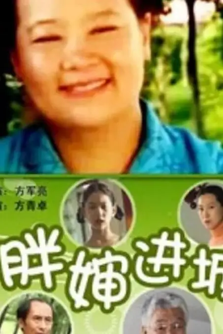 《胖婶进城》封面