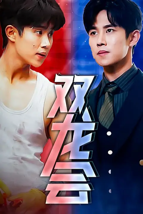 《双龙会》封面