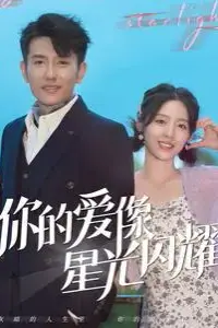 《你的爱像星光闪耀》封面