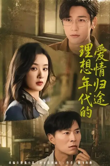 《理想年代的爱情归途》封面