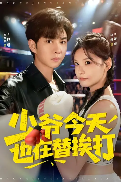 《少爷今天也在替挨打》封面