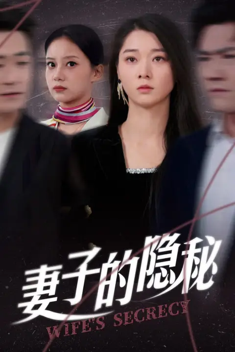 《妻子的隐秘》封面