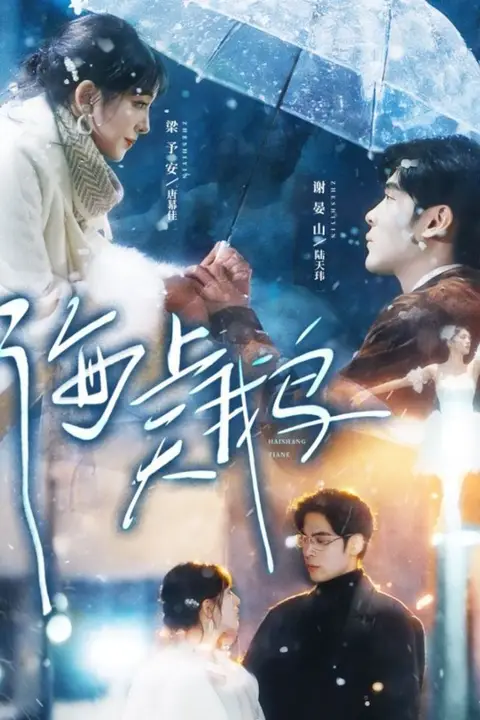 《海上天鹅》封面