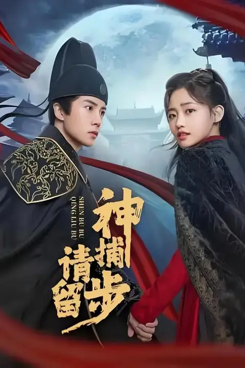 《神捕请留步》封面