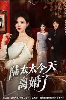 《陆太太今天离婚了》封面