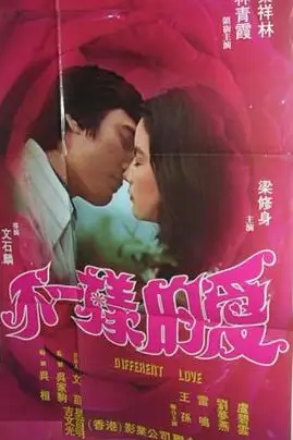 《不一样的爱》封面