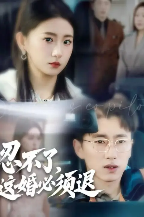 《忍不了，这婚必须退》封面