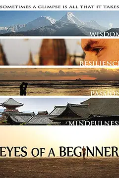 《重获光明之旅》封面