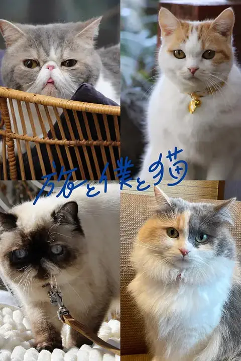 《旅行和我和猫》封面