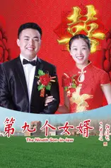 《第九个女婿》封面