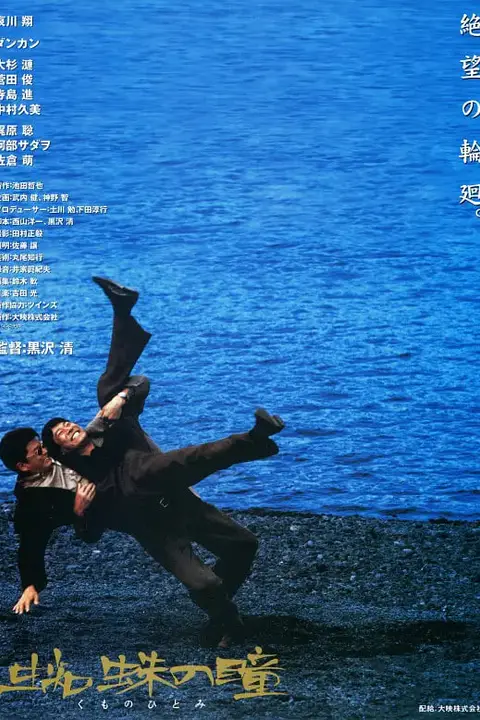 《蜘蛛之瞳》封面