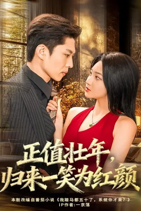 《正值壮年，归来一笑为红颜》封面