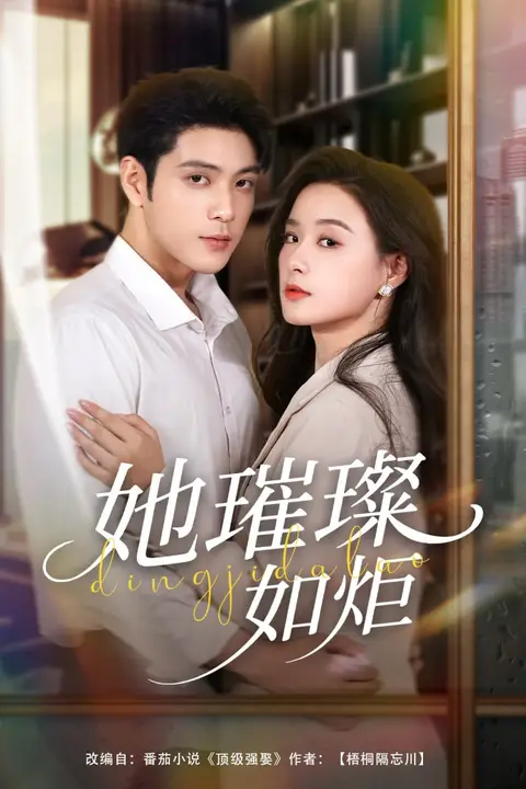 《她璀璨如炬》封面