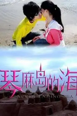 《琴麻岛的海》封面