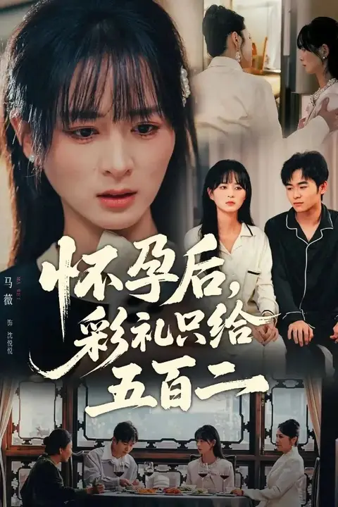 《怀孕后,彩礼只给五百二》封面