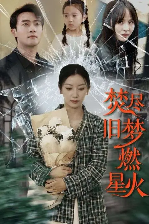 《焚尽旧梦燃星火》封面