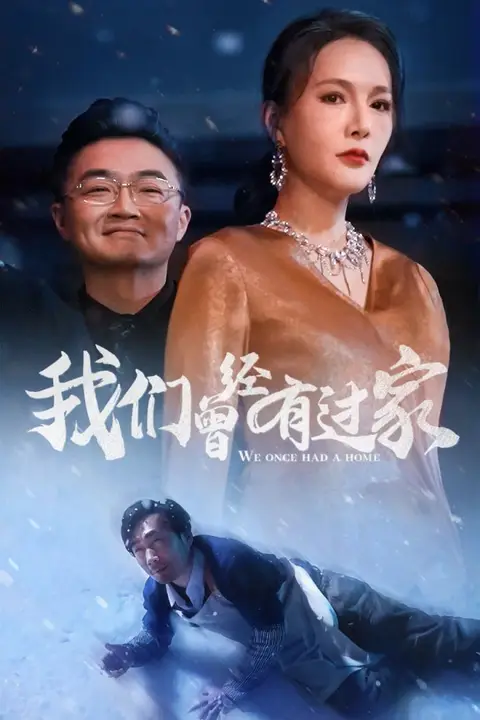 《我们曾经有过家》封面