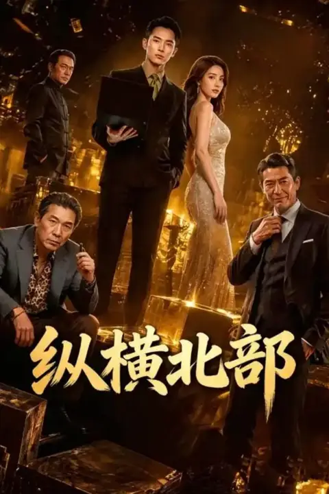 《纵横北部》封面