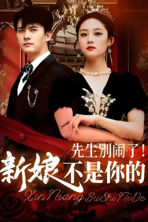 《先生别闹了新娘不是你的》封面