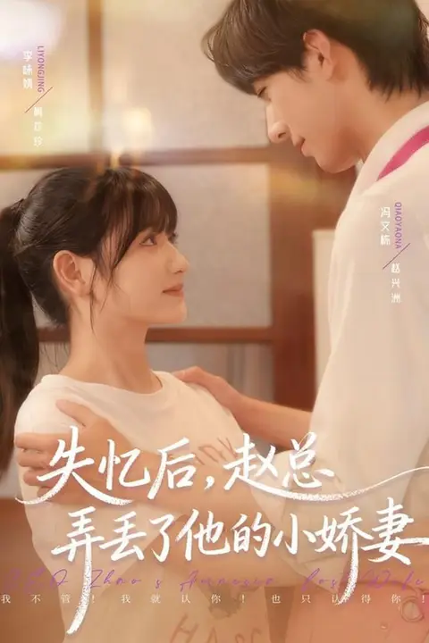 《失忆后，赵总弄丢了他的小娇妻》封面