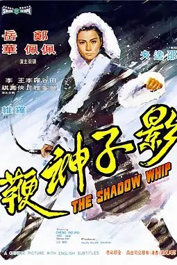 《影子神鞭》封面
