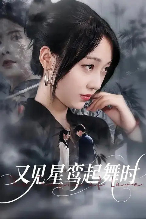 《又见星鸾起舞时》封面