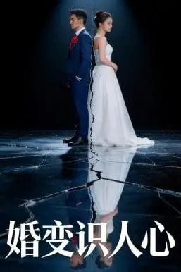 《婚变识人心》封面