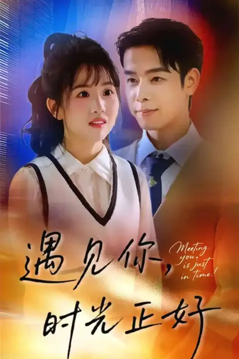 《遇见你，时光正好(遇见你时光正好)》封面