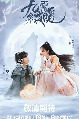 《九霄寒夜暖》封面