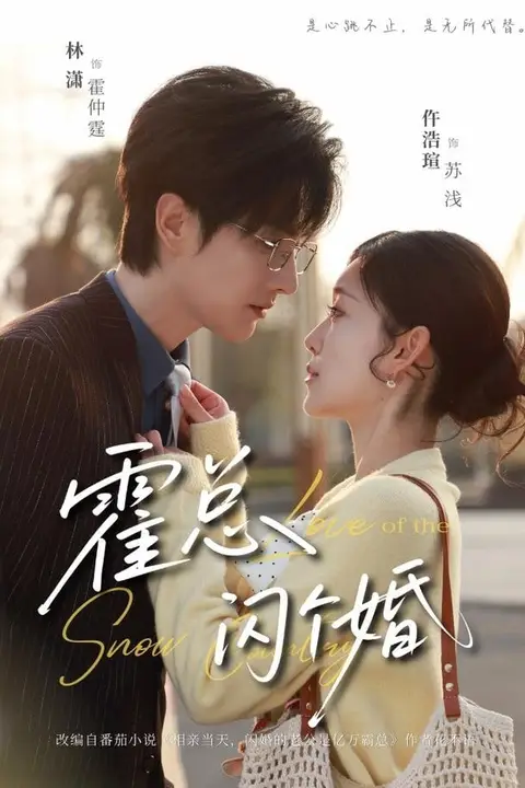 《霍总闪个婚》封面