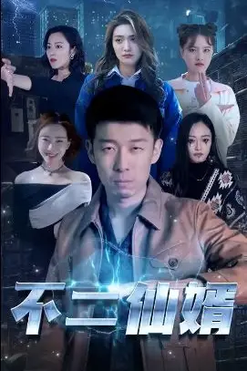 《不二仙婿》封面