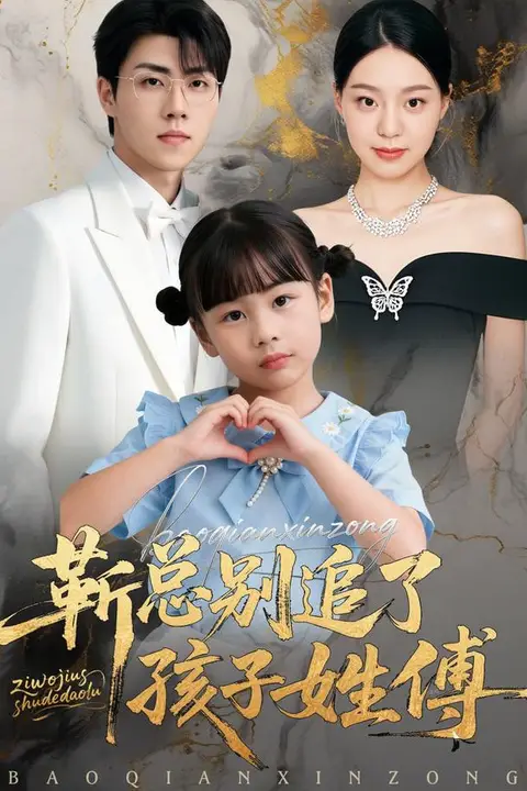 《靳总别追了,孩子姓傅》封面