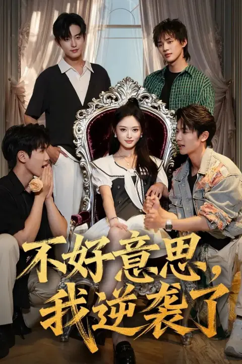 《不好意思我逆袭了》封面