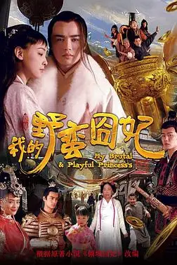 《我的野蛮囧妃》封面