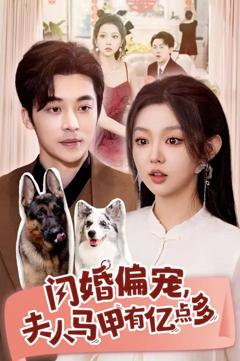 《闪婚偏宠夫人马甲有亿点多》封面