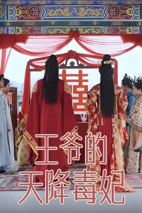 《王爷的天降毒妃》封面
