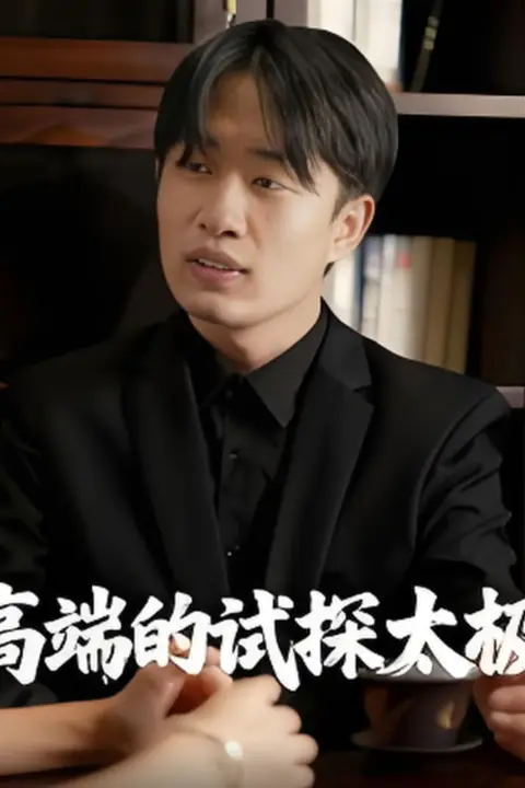 《高端的试探太极》封面