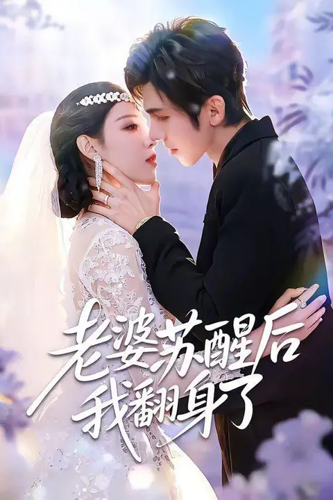 《老婆苏醒后我翻身了》封面