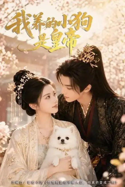 《我养的小狗是皇帝》封面