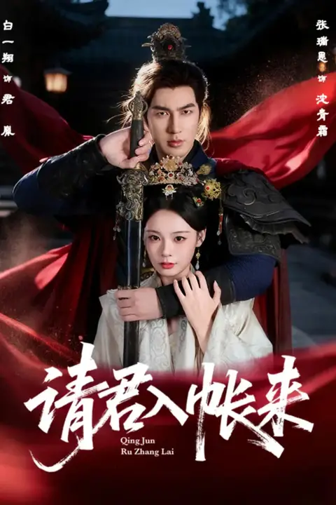 《请君入帐来》封面