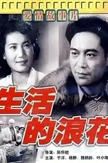 《生活的浪花》封面