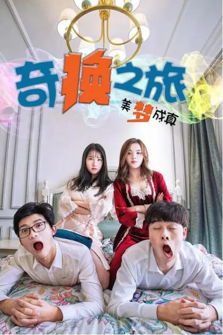 《奇换之旅美梦成真》封面