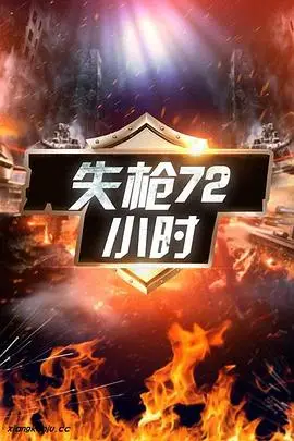 《失枪72小时》封面